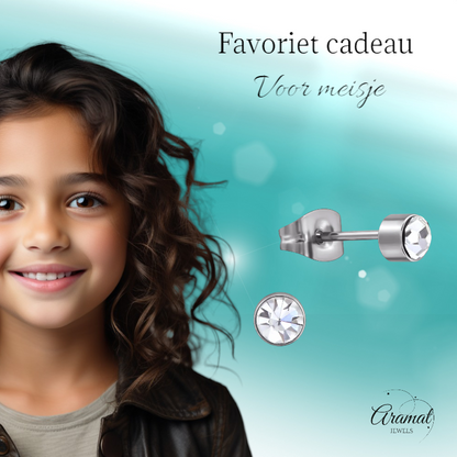 Boucles d'oreilles puces en cristal transparent – ​​4 mm acier inoxydable argenté