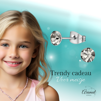 Stalen Kristal Oorbellen met Black Diamond steentje – Zilverkleur – 5mm