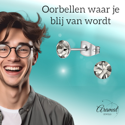 Stalen Kristal Oorbellen met Black Diamond steentje – Zilverkleur – 5mm