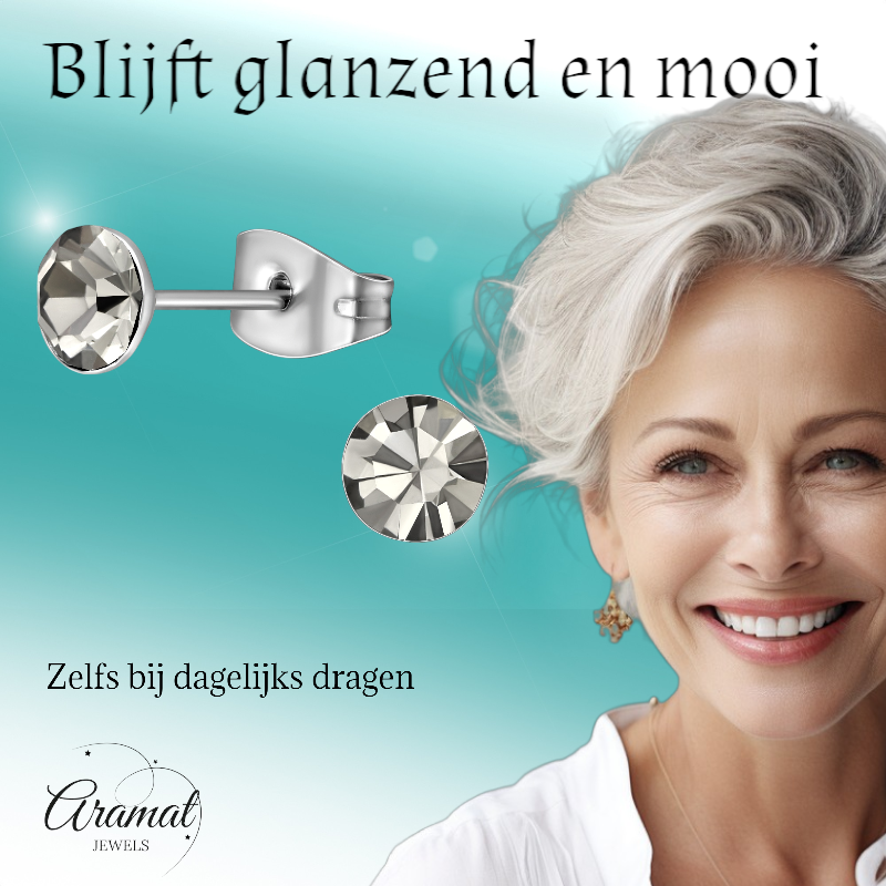 Stalen Kristal Oorbellen met Black Diamond steentje – Zilverkleur – 5mm