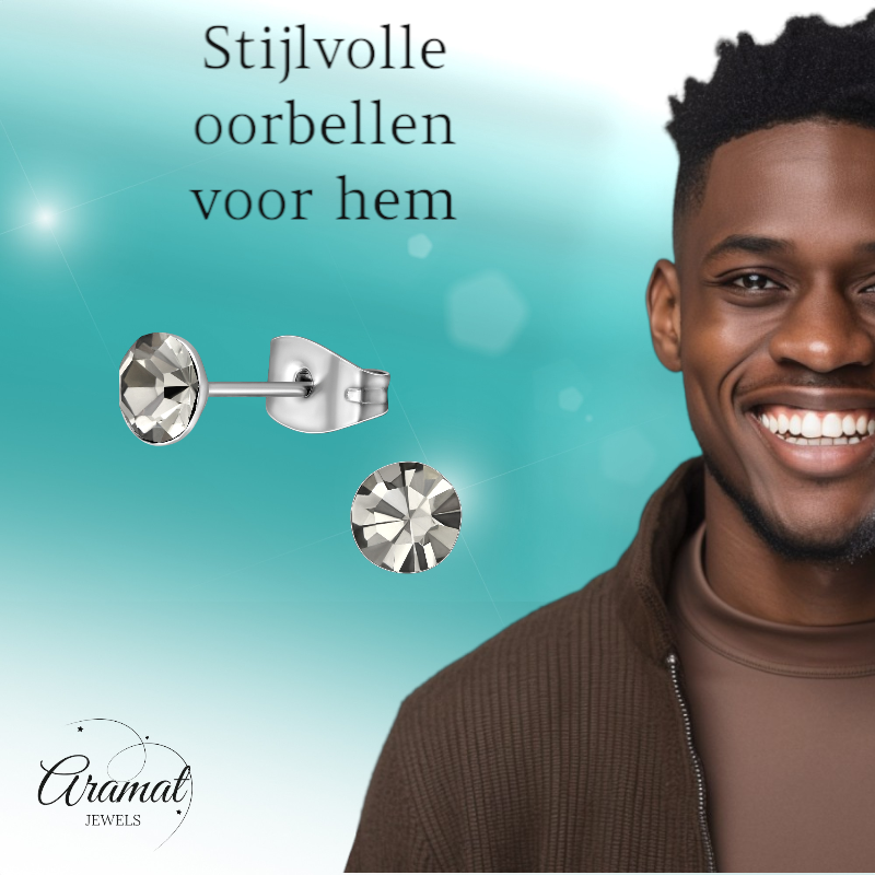 Stalen Kristal Oorbellen met Black Diamond steentje – Zilverkleur – 5mm