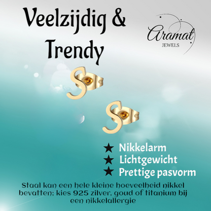 RVS Oorbellen Letter S – Goudkleurig – 10 mm