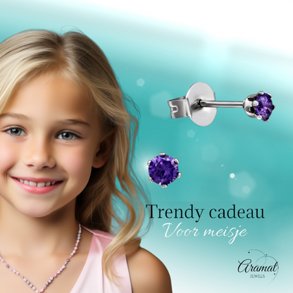 Boucles d'oreilles en zircon violet – Acier inoxydable 3 mm
