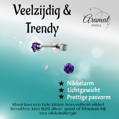 Boucles d'oreilles en zircon violet – Acier inoxydable 3 mm