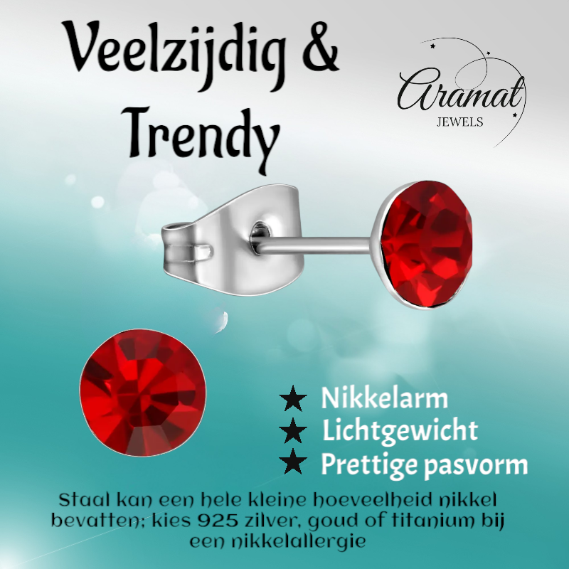 Stalen Kristal Oorbellen met lichtrode steentjes – Zilverkleur – 5mm