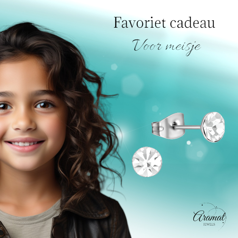 Boucles d'oreilles en acier et cristal avec pierre transparente – Couleur argent – ​​5 mm