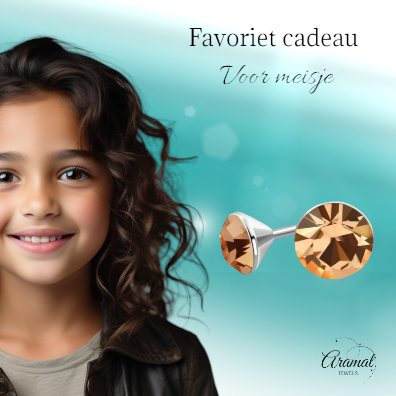 Boucles d'oreilles en acier et cristal avec pierre couleur champagne – Couleur argent – ​​4 mm