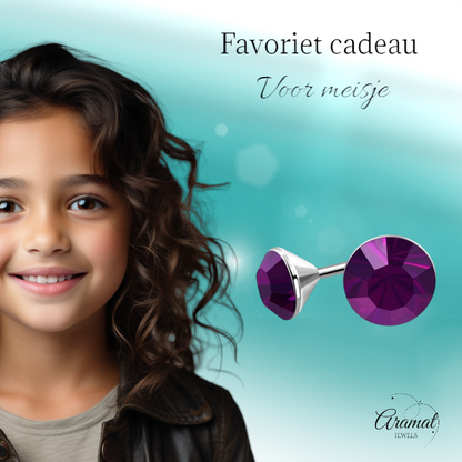 Stalen Kristal Oorbellen met paars steentje – Zilverkleur – 3mm