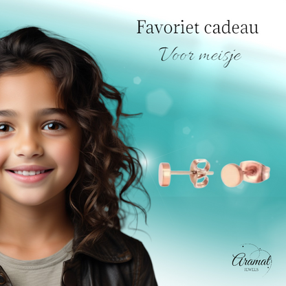 Puces d'oreilles rondes couleur rose, acier inoxydable, 5 mm