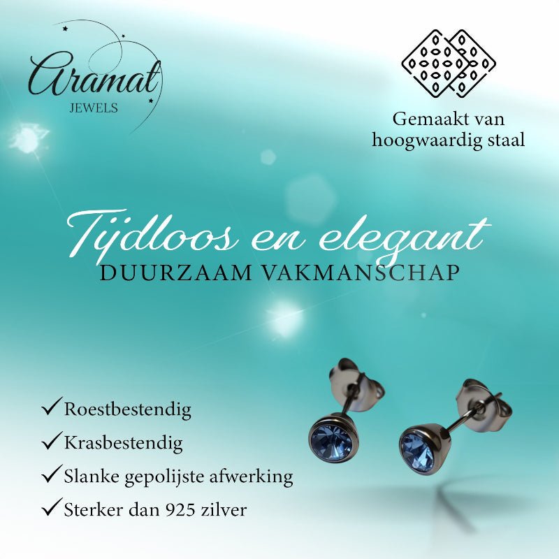 Oorbellen – Staal Lila Kristal Zilverkleurig (5mm) - Aramat Jewels - Oorbellen - cadeautip