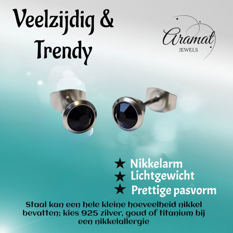 Oorbellen – Staal Zwarte Kristal Zilverkleurig (6mm) - Aramat Jewels - Oorbellen - cadeautip