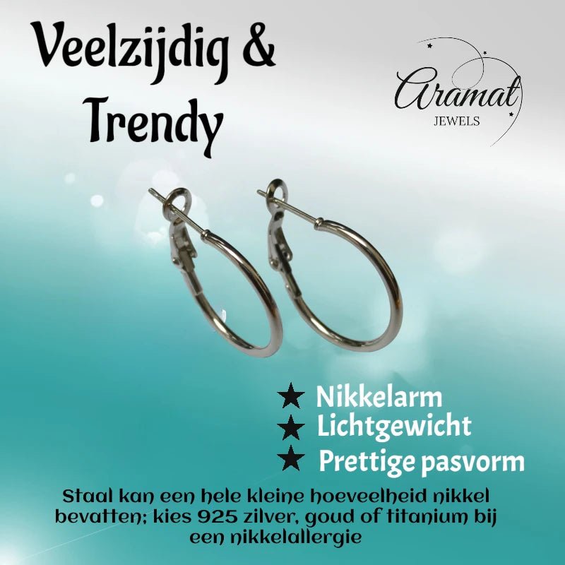 Oorringen – Klassieke Basic Hoepel Creolen RVS Zilverkleur (Diverse Maten) - Aramat Jewels - Oorringen - cadeautip