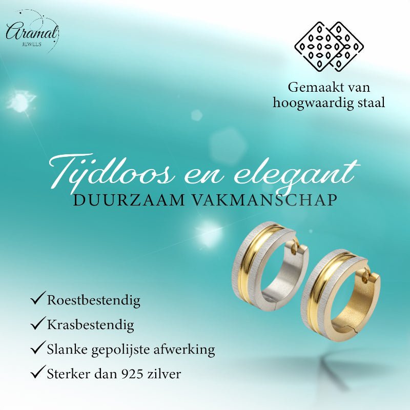 Oorringen – Mat Bicolor RVS Zilver/Goud Streepjes (20x7mm) - Aramat Jewels - Oorringen - cadeautip