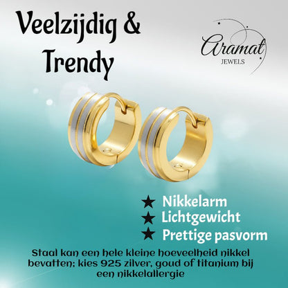 Oorringen – RVS Bicolor Mat Zilver/Goud (13x5mm) - Aramat Jewels - Oorringen - cadeautip