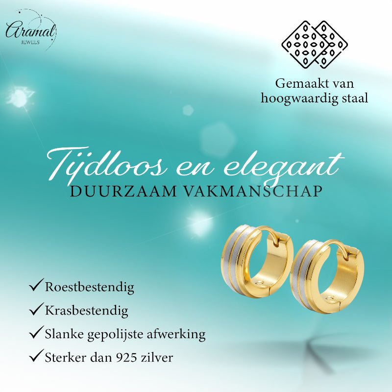 Oorringen – RVS Bicolor Mat Zilver/Goud (13x5mm) - Aramat Jewels - Oorringen - cadeautip