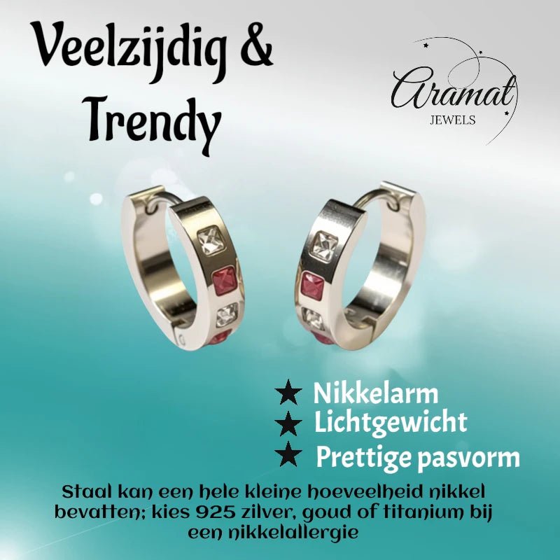 Oorringen – Staal Roze Transparante Zirkonia (17mm) - Aramat Jewels - Oorringen - cadeautip
