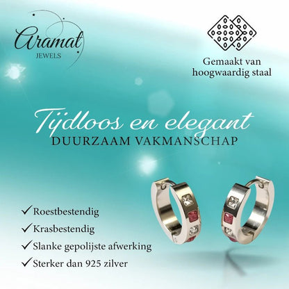 Oorringen – Staal Roze Transparante Zirkonia (17mm) - Aramat Jewels - Oorringen - cadeautip