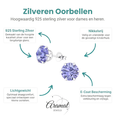 Paarse Kristal Oorbellen Sterling Zilver - Aramat Jewels - Oorbellen - cadeautip