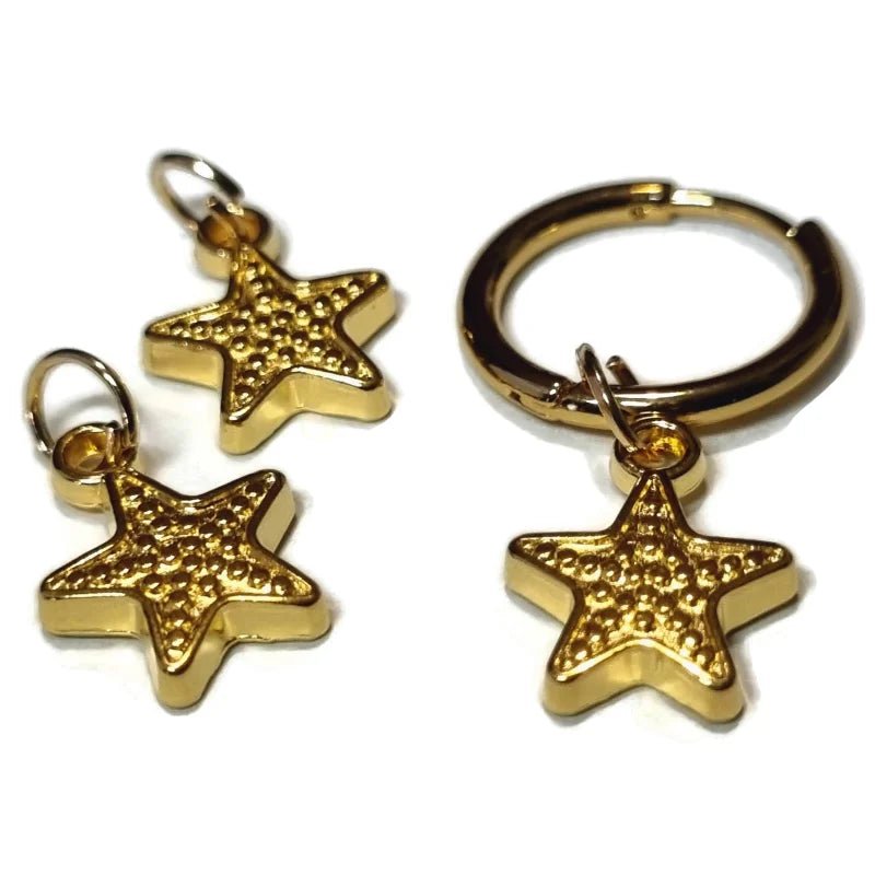 Een paar gouden ster oorbellen