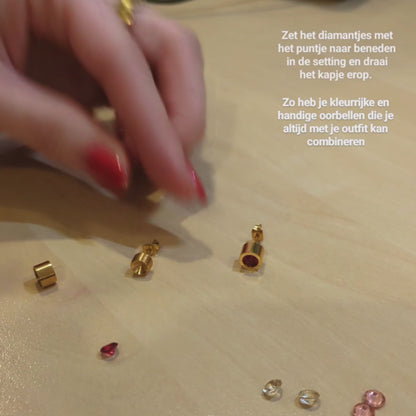 Stalen Oorbellen met Verwisselbare Zirkonia – RVS