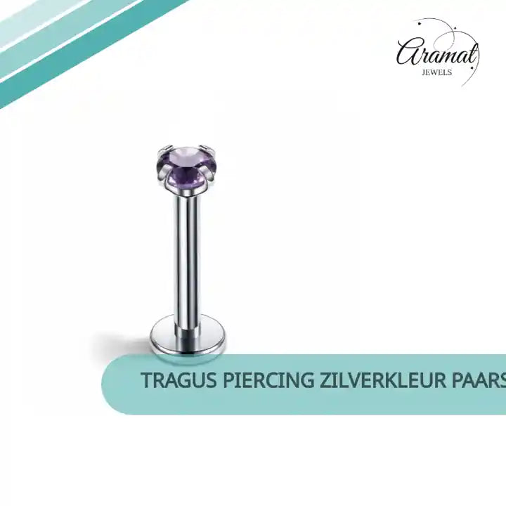 Tragus Piercing Zilverkleur Paarse Zirkonia 6mm 3mm by@Outfy