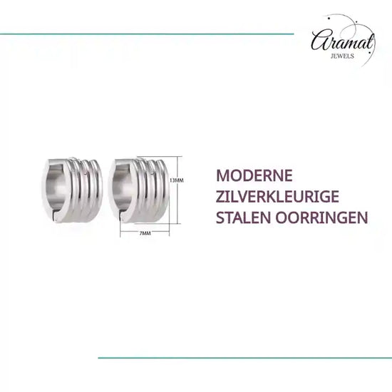 Moderne Zilverkleurige Stalen Oorringen by@Outfy