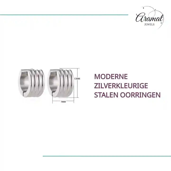 Moderne Zilverkleurige Stalen Oorringen by@Outfy