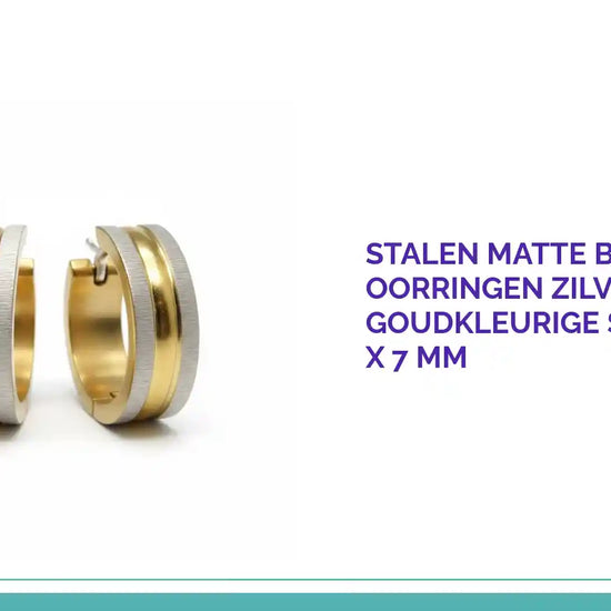 Stalen Matte Bicolor Oorringen Zilverkleurig met Goudkleurige Streepjes &ndash; 20 x 7 mm by@Outfy