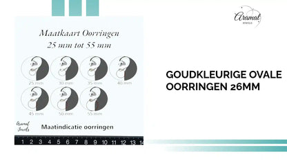 Goudkleurige Ovale Oorringen 26mm by@Outfy