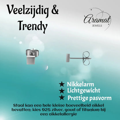 Oorstekers – Staal Vierkant Zilverkleurig (4mm)