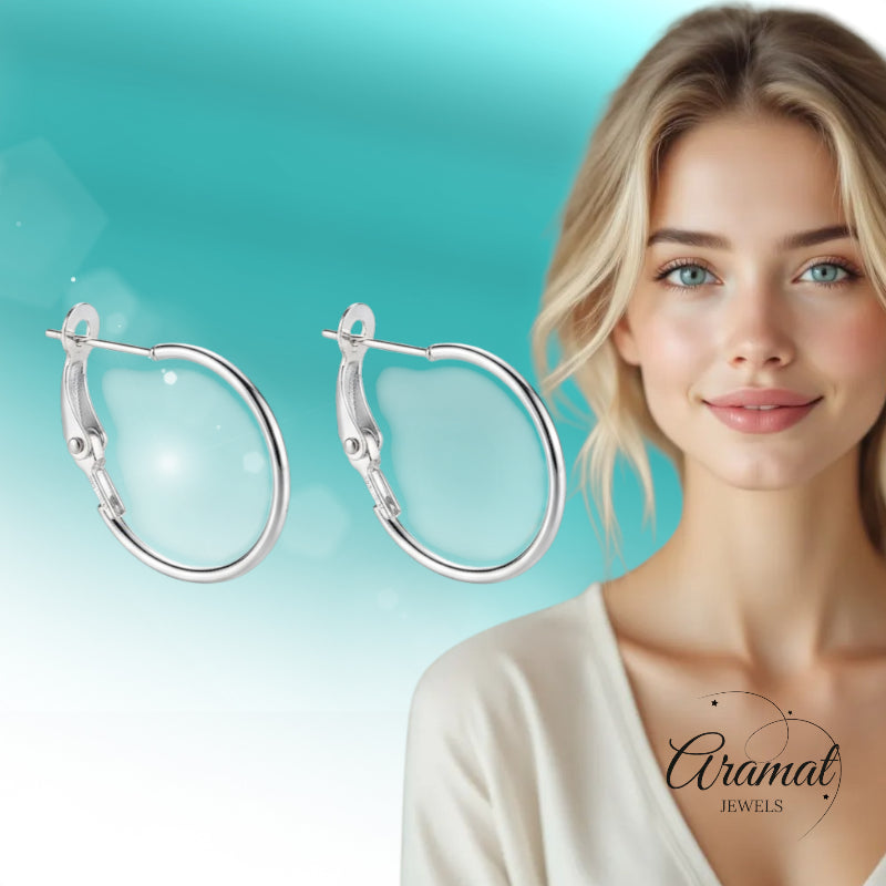 Metalen Oorringen Zilverkleurig 20mm Klapscharnier