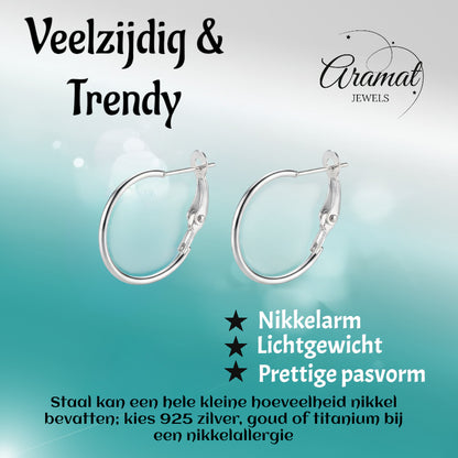 Metalen Oorringen Zilverkleurig 20mm Klapscharnier