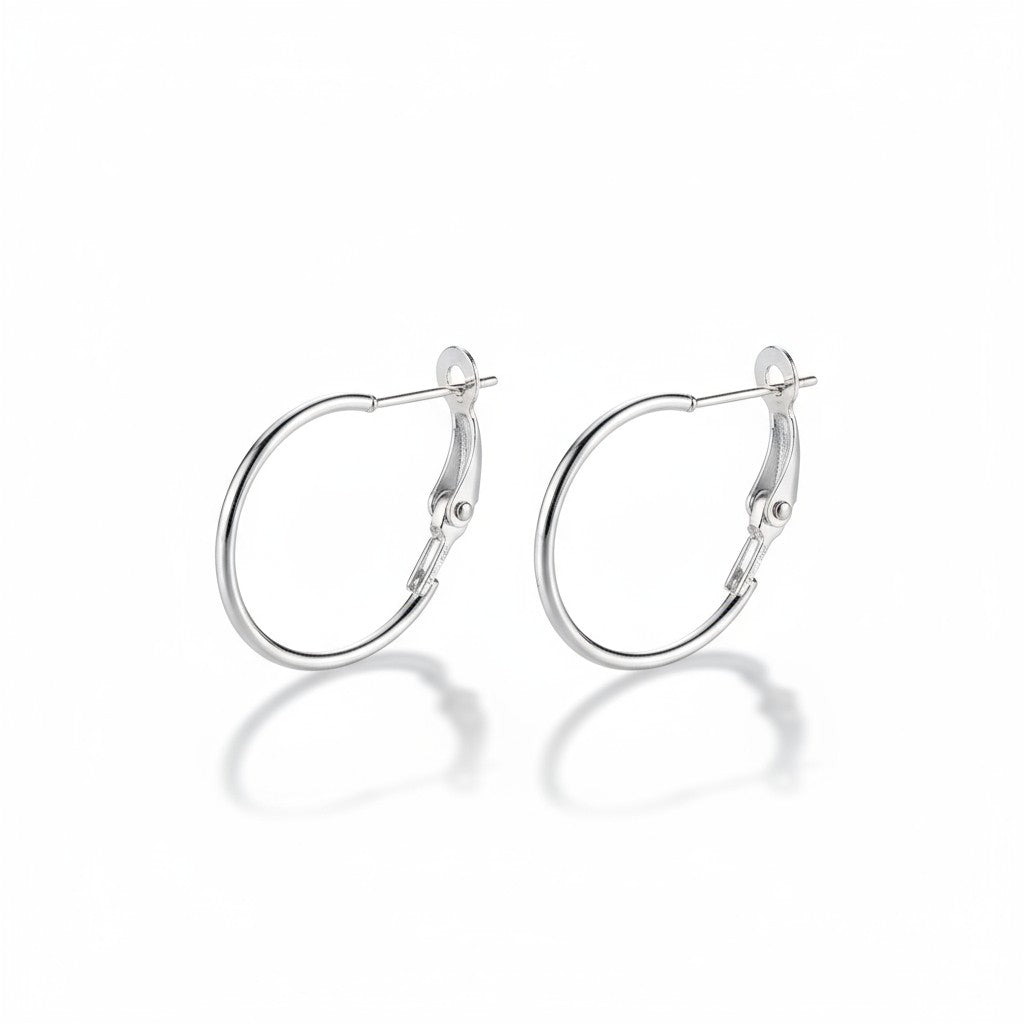 Metalen Oorringen Zilverkleurig 20mm Klapscharnier