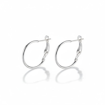 Metalen Oorringen Zilverkleurig 20mm Klapscharnier