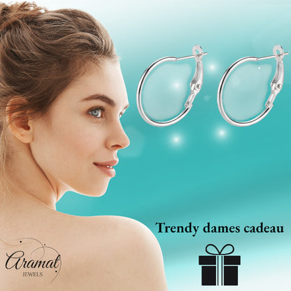 Metalen Oorringen Zilverkleurig 20mm Klapscharnier