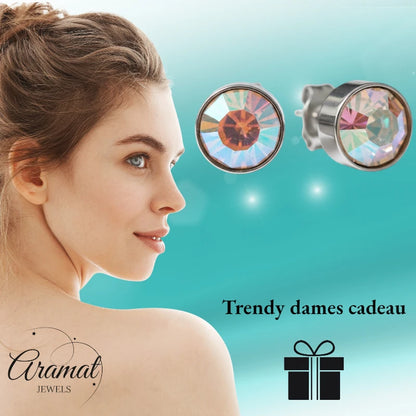 Oorstekers – Staal Kristal AB Transparant Zilverkleur (8mm)