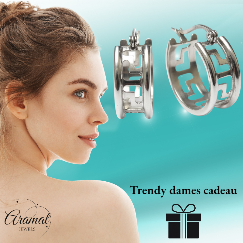 Zilverkleurige Stalen Oorringen Grieks Motief