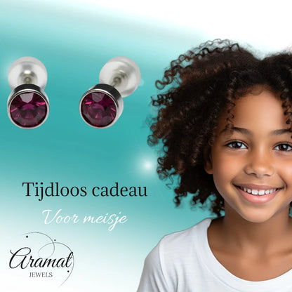 Oorstuds – Staal Kristal Paars Zilverkleur (5mm)