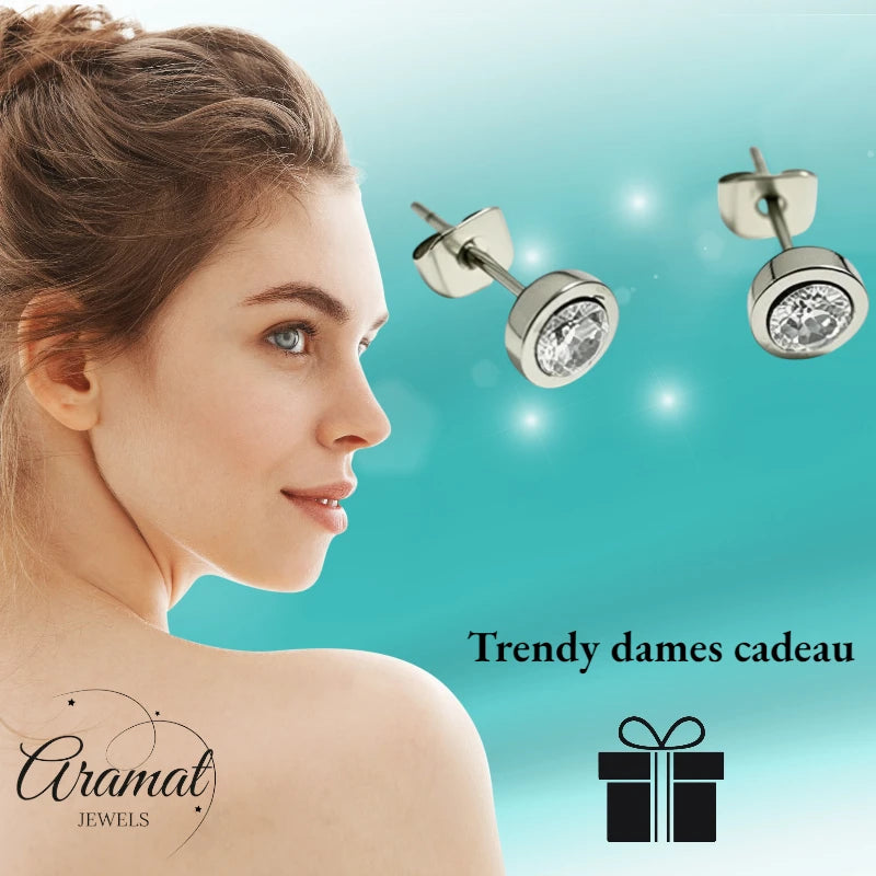 Oorstuds – Staal Zirkonia Transparant Zilverkleur (6mm)