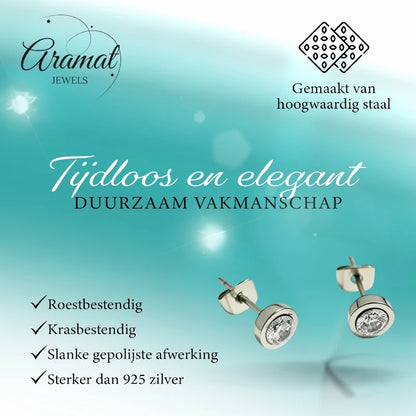 Oorstuds – Staal Zirkonia Transparant Zilverkleur (6mm)