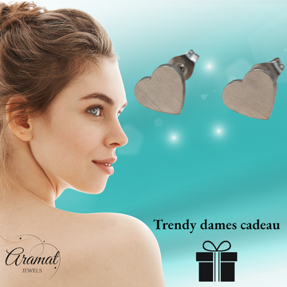 RVS Hartjes Oorstekers Zilverkleur 9mm Gesloten