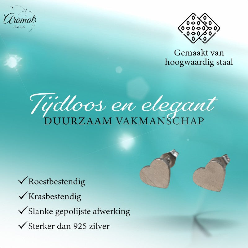 RVS Hartjes Oorstekers Zilverkleur 9mm Gesloten