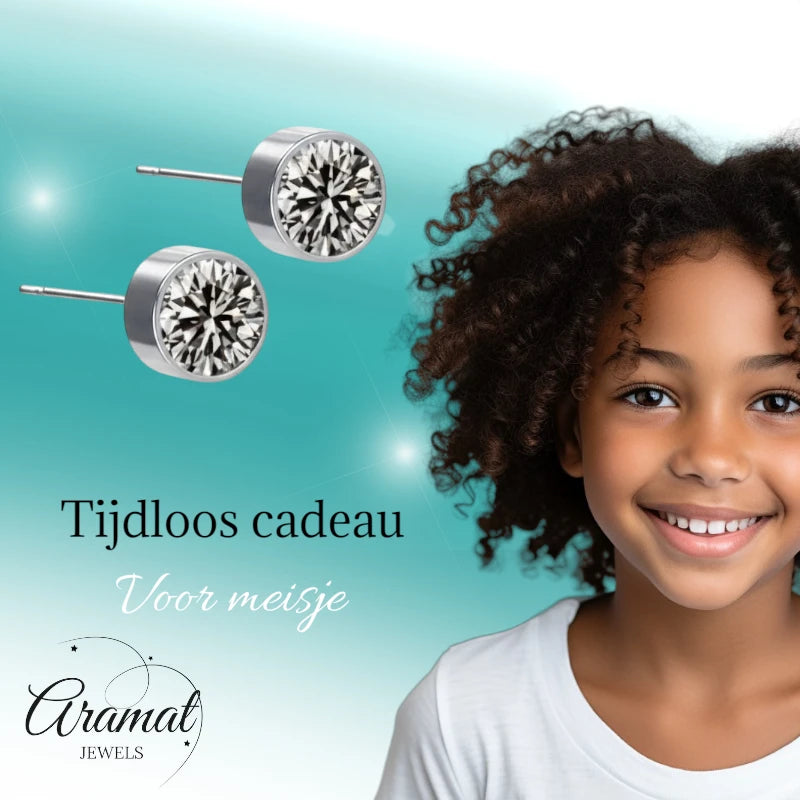 Oorstekers – Staal Kristal Grijs Zilverkleur (6mm)