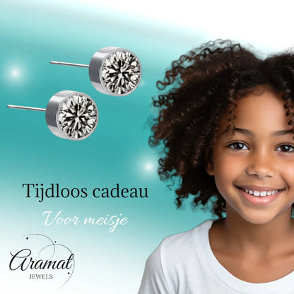 Oorstekers – Staal Kristal Grijs Zilverkleur (6mm)