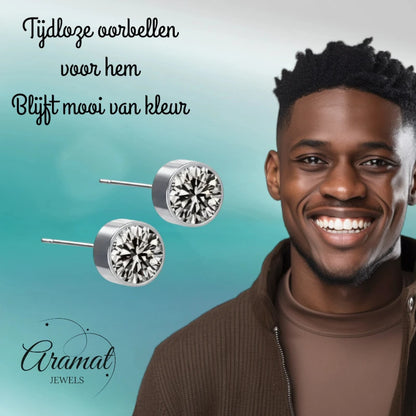 Oorstekers – Staal Kristal Grijs Zilverkleur (6mm)