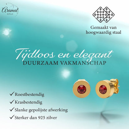 Rode Kristal Oorbellen met goudkleurige Afwerking - Aramat Jewels - Oorbellen - cadeautip
