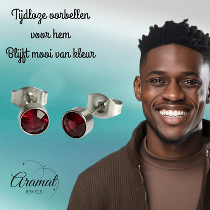 Oorstekers – Staal Kristal Rood Zilverkleur (5mm)