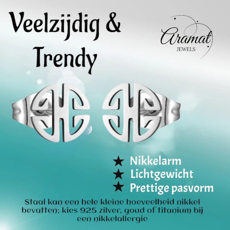 Roestvrij Stalen Oorbellen fantasie motief - oor1409 - Oorbellen kopen# - 9mm - alles