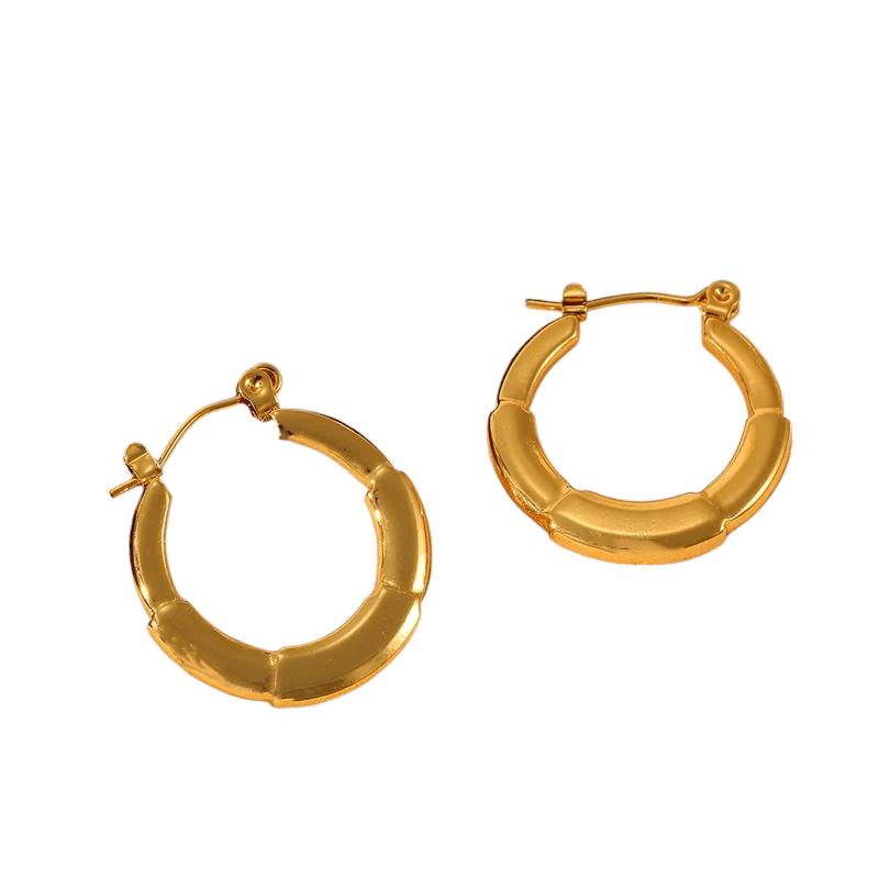 Ronde Oorringen 24x23mm – Goudkleurig RVS – Kleine Hoops - oor6349 - 840144 - Oorringen kopen# - 24mm - alles - cadeau