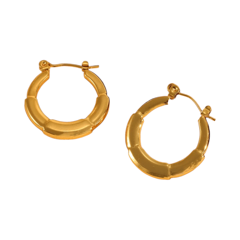 Ronde Oorringen 24x23mm – Goudkleurig RVS – Kleine Hoops - oor6349 - 840144 - Oorringen kopen# - 24mm - alles - cadeau